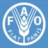 FAO 2020